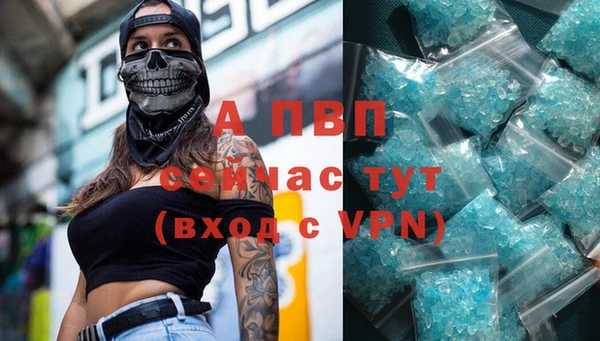 a pvp Аркадак