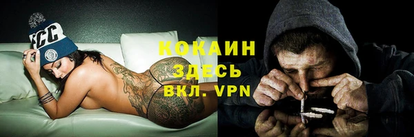 a pvp Аркадак