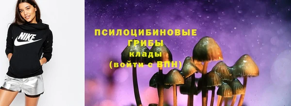 мет Арсеньев