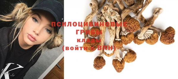 a pvp Аркадак