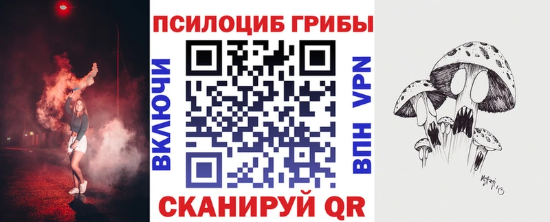 Псилоцибиновые грибы Psilocybine cubensis  купить  цена  Пудож 